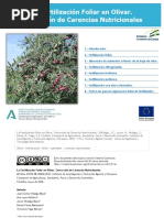 La Fertilización Foliar en Olivar. Corrección de Carencias Nutricionales - 1.1-1