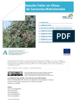 La Fertilización Foliar en Olivar. Corrección de Carencias Nutricionales - 1.1-1