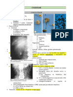 Sd. Ictérica 2 - Colestase