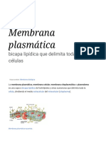 Membrana Plasmática - Wikipedia, La Enciclopedia Libre