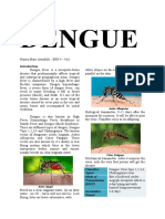 Dengue: Aedes Albopictus