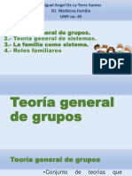 Teroia Grupo, Sistema y Familia