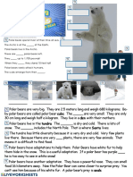 Polar Bears: Arctic's Top Predators