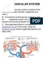 Cardiovascular System III
