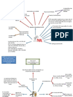 Material de Apoyo para Estudio