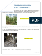 ELABORACIÓN DE LA PANELA