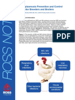 Mycoplasmosis Prevention and Control in Broiler Breeders and Broilers