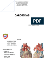 Carotidas Formato Ujap