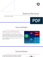 Sistema Nervioso: Estructura, Función y Tipos de Neuronas (37