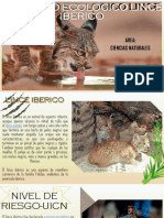 Proyecto Ecologico Lince Iberico