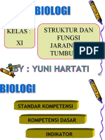 STRUKTUR_TUMBUHAN_kls_xi_ipa_5_dan_6_-_TANGGAL_26_AGUSTUS_2020