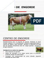 Centro de Engorde