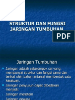 BAB 2 STRUKTUR DAN FUNGSI JARINGAN TUMBUHAN oleh istamar