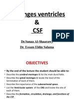 Meninges PPT NP