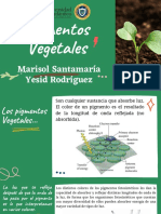 Pigmentos vegetales