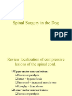 Spinal Surgery in The Dog