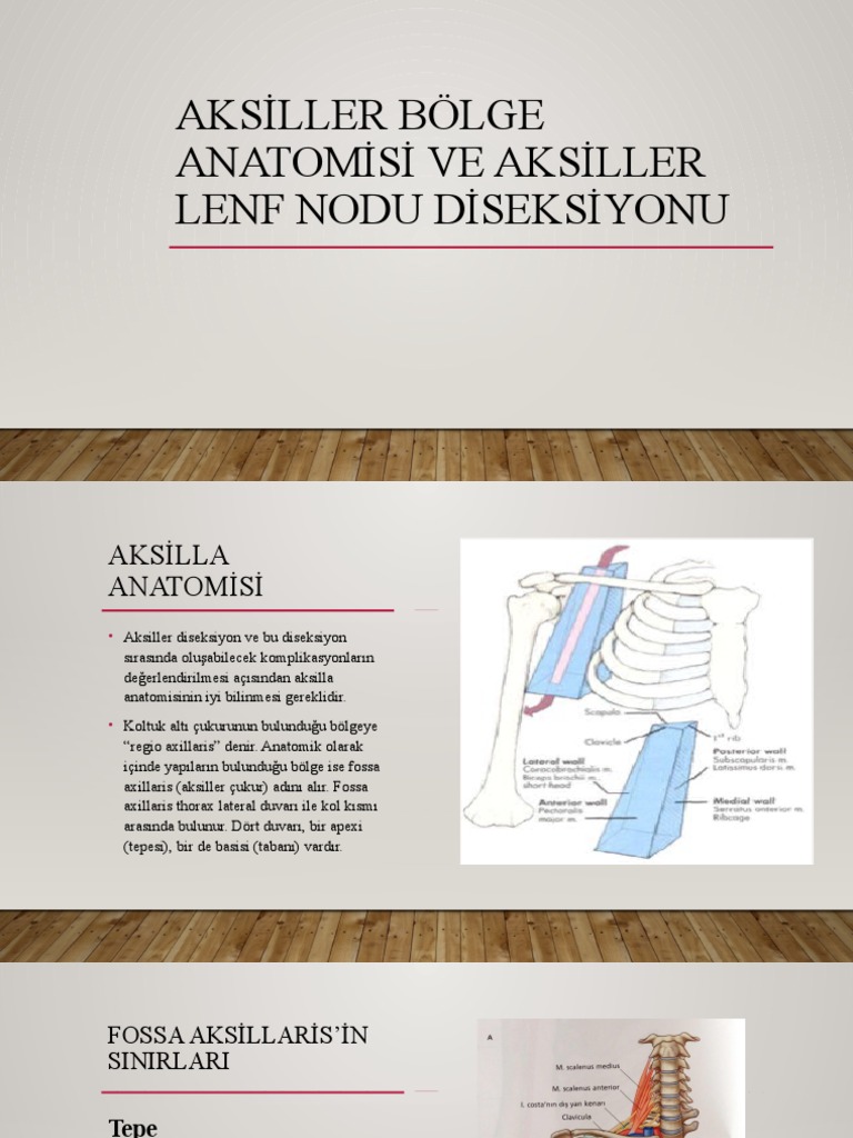 Aksiller Lenf Nodu Diseksiyonu PDF