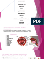 Desarrollo Fase 1 Adriana Martínez