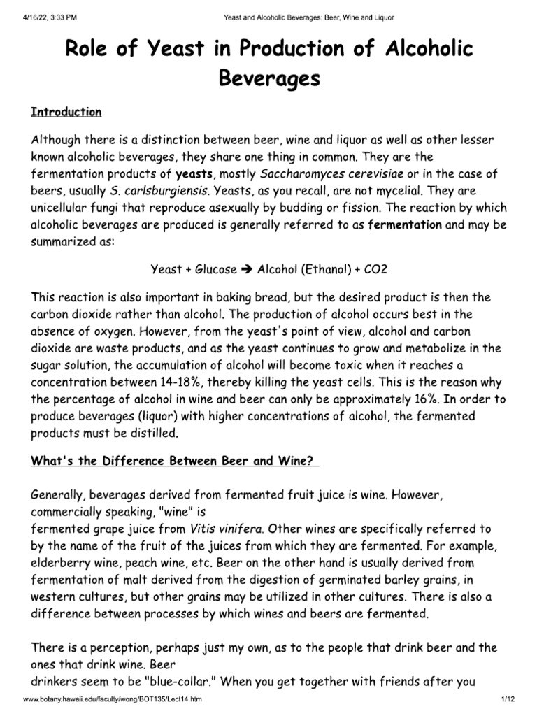 Role of Yeast in Production of Alcoholic Beverages | PDF