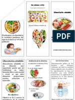 Alimentación saludable: Conoce los grupos de alimentos y su importancia