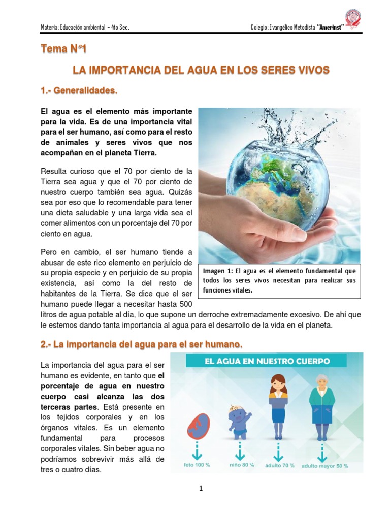 Tema N1 - La Importancia Del Agua en Los Seres Vivos. | PDF
