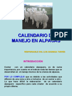 Calendario Manejo Alpacas