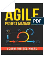 Agile Project Management For Knowledge