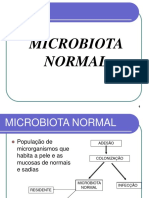 1. MICROBIOTA NORMAL