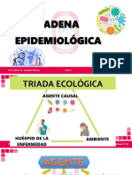 Cadena Epidemiológica