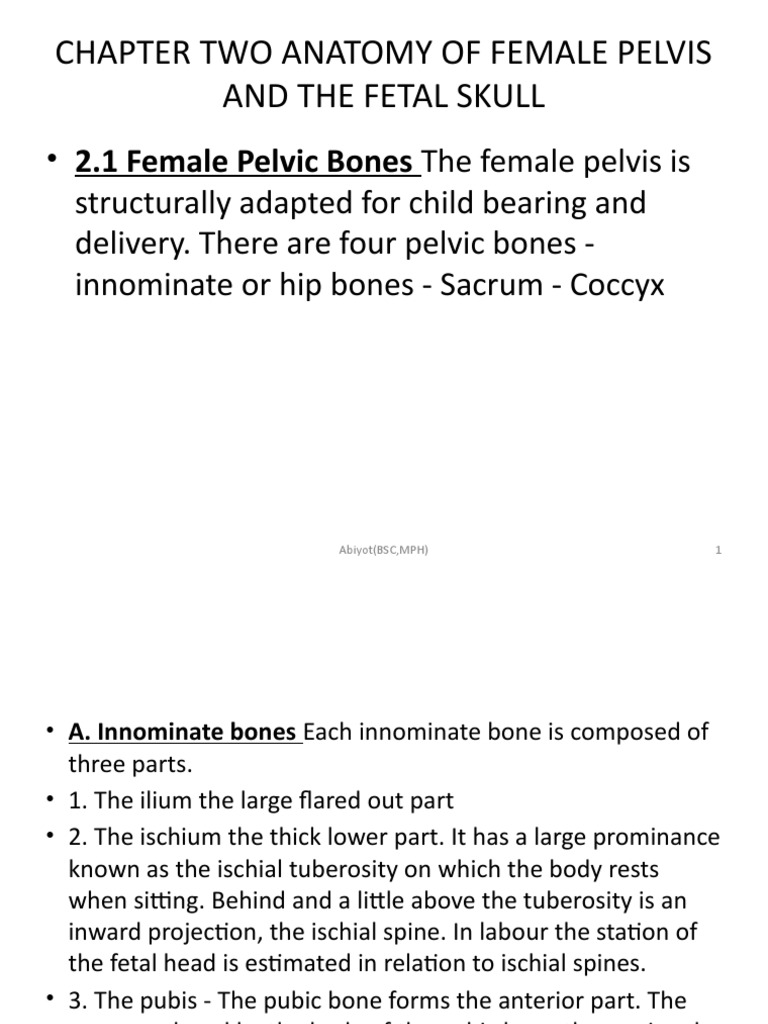 CHAPTER TWO ANATOMY OF FEMALE PELVIS AND Physiology | PDF | Pelvis | Uterus