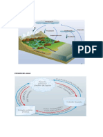 Transparencias Ciclo Agua