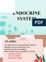 Endocrine System Final 1