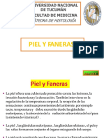 Piel y Faneras 2019