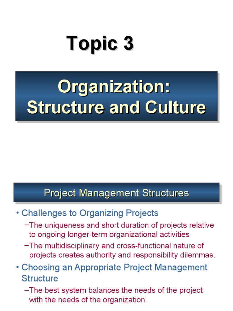 Project Management Structure Choices | PDF | Organizational Culture ...