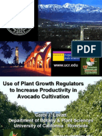 2.-Lovatt Use of Plant Growth Regulators To Increase Productivity in Avocado Cultivation