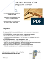 Histology of The Esophagus and Stomach-1