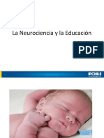 Clase 3 Neurociencia