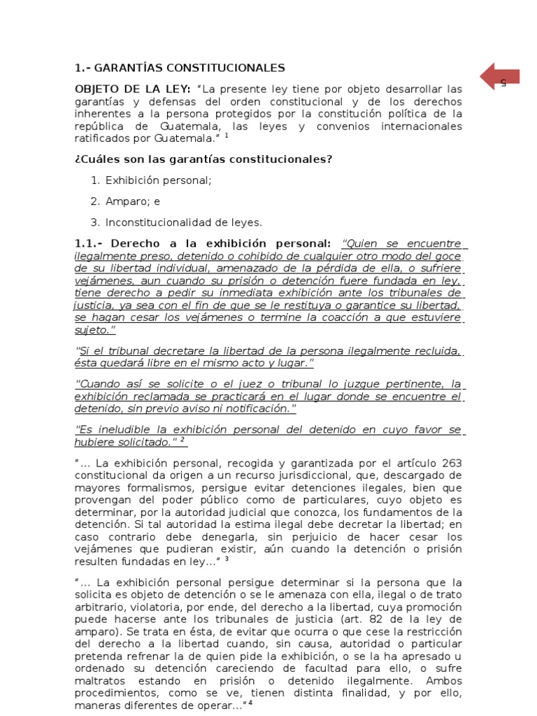 Garantias Constitucionales | PDF | Derecho Constitucional | Constitución