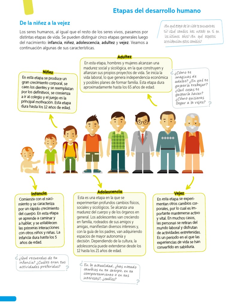 Etapas del Desarrollo Humano | PDF | Adultos | Adolescencia