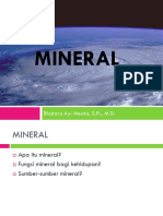 Mineral 2022