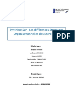 Synthèse Sur Les Differences Structure Organisationnelles