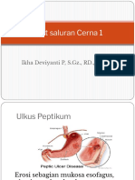 TM 5 - Saluran Pencernaan