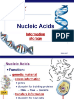 Nucleic Acids: Information Storage