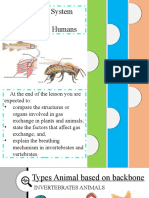 I. Respiratory System of Animals and Mammals