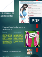 Prevención de Embarazos en Adolescentes Folleto