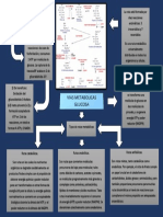 Vias Metabolicas...