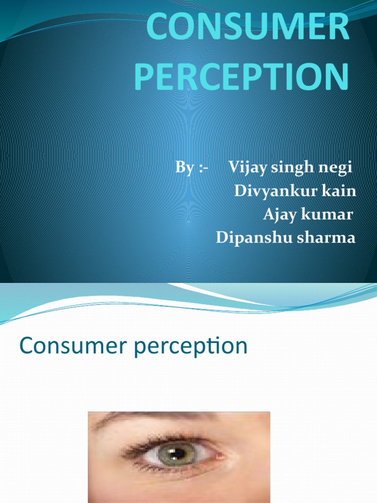 Understanding Consumer Perception Factors | PDF