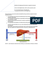 Biology Notes - Liver and Immunity