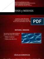 1LM1_Mitosis y Meiosis (F)