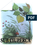 Sub Ciuperca Suteev